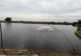 انتخاب مزارع شیلاتی برتر استان مازندران