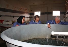 بازدید از مرکز تحقیقات ماهیان سردآبی کشور_ تنکابن