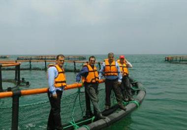 بازدید از قفس های پرورشی جهاد نصر در منطقه انبارسر کیاشهر