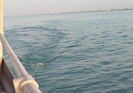 دومین عملیات میدانی ثبت شرایط محیطی و نمونه‌برداری از آب‌های بین بندرعباس، قشم، هرمز و لارک