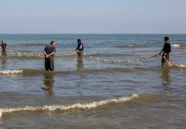 جشن آغار صید ماهیان استخوانی دریای خزر برگزار شد