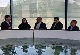 بازدید معاونان و مدیران سازمان اداری و استخدامی کشور از ایستگاه تحقیقاتی بندرلنگه