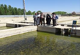 بازدید از مرکز تحقیقات ژنتیک و اصلاح نژاد ماهیان سردآبی شهید مطهری_ یاسوج