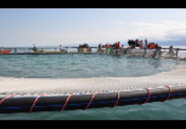 عضویت پژوهشکده آبزی پروری آبهای داخلی کشور در کارگروه توسعه پرورش ماهی در قفس 