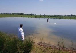 ذخیره سازی لارو نورس کپور تاتا در استخرهای خاکی ایستگاه تحقیقاتی تکثیر و پرورش ماهیان گرمابی فومن