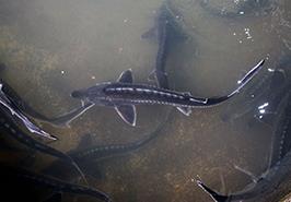 دکتر محمود بهمنی در گفتگو با خبرنگار ایرنا اظهار کرد: