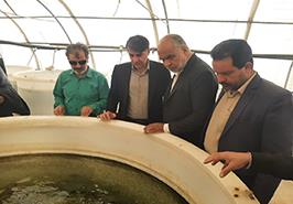 قول مساعدت نماینده مجلس برای رفع مشکلات زیرساختی مرکز ملی آبزیان آب‌های شور