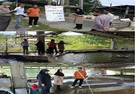 دومین بازدید یاوران تولید مركز تحقیقات ماهیان سردآبی کشور_ تنکابن