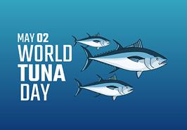 ماهی گیدر، با ارزش ترین تون ماهی ایران