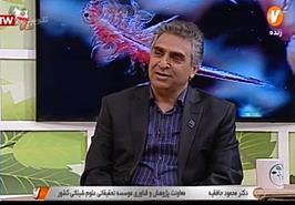 وابستگی ۹۵ درصدی کشور به واردات سیست آرتمیا