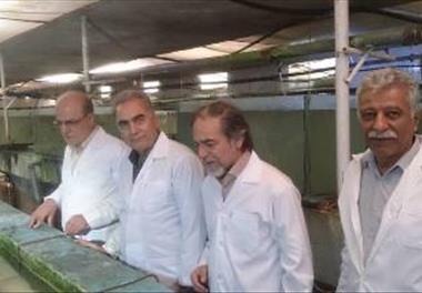 بازدید از مزرعه ماهیان زینتی وکیلی استان گلستان_ روستای شصتکلای