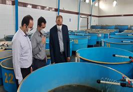 در نشست مشترک انستیتو تحقیقات بین المللی ماهیان خاویاری با قائم مقام مؤسسه تحقیقات علوم شیلاتی کشور