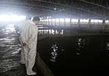 انتخاب مزارع نمونه آبزی پروری استان مازندران با مشارکت کارشناس پژوهشکده اکولوژی دریای خزر 