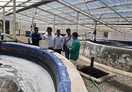 بازدید کارشناسان سازمان شیلات ایران از مرکز تحقیقات ملی آبزیان