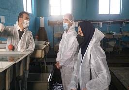 بازدید مدیر کل و معاون دفتر آبزیان آب شیرین و رئیس گروه برنامه ریزی تولید آبزی از مرکز یاسوج