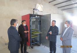 اجرای 15 طرح تحقیقاتی آرتمیا در کشور