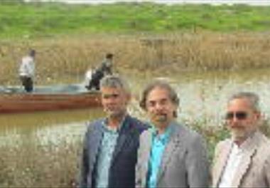 رهاسازی مولدین کلمه                