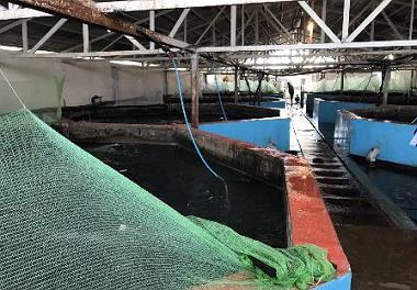 بازدید از سایت پشتیبان پرورش ماهی در قفس