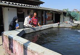 حضور یاوران تولید مركز تحقیقات ماهیان سردآبی کشور- تنکابن در مزارع سردآبی شهرستان عباس آباد