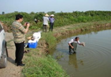 بررسی علل تلفات کپور ماهیان