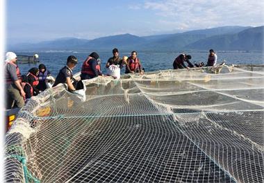 اجرای طرح توانمندسازی