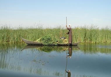 برگزاری اولین همایش ملی تیلاپیا
