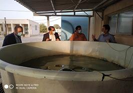 بازدید از مرکز تحقیقات شیلات آبهای دور_ چابهار