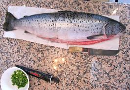 پرورش ماهی آزاد در قفس‌های مستقر در دریای خزر