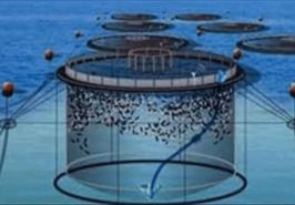 خودکفایی کامل ایران در فناوری‌های آبزی‌پروری و مقابله با تحریم