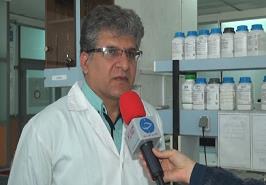 محققان بوشهری کیت تشخیص بیماری‌های میگو می‌سازند