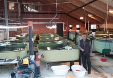 فرصت  پژوهشی آبزی پروری در قفس و اصلاح نژاد ماهی قزل آلا در نروژ