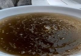 بازدید از کارگاه تکثیر اژدر ماهی مکران