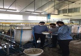 موفقيت در تكثير ماهی كپور تاتا