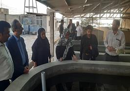 بازدید از مرکز تحقیقات شیلاتی آبهای دور _ چابهار