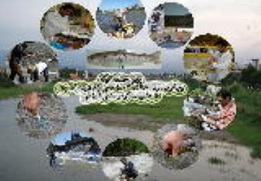 پروژه تحقیقاتی موسسه در پنجمین جشنواره مهندسی و مدیریت آب ایران برگزیده شد