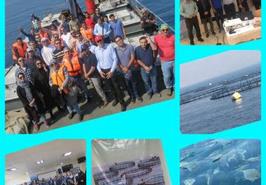 برگزاری کارگاه آموزشی، ترویجی تولید و‌ نگهداری ماهیان دریایی در قفس
