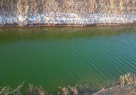 پتانسیل یابی پرورش آرتمیا در زهکش ها وآب های غیر متعارف آبیک قزوین