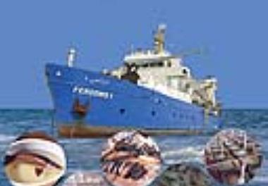 چاپ 140 عنوان گزارش نهایی طرح ها و پروژه های تحقیقاتی در شش ماهه اول سال 1395