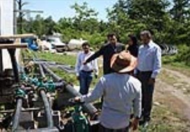 برگزاری سومین جلسه کارشناسی طرح کلان تولید ماهی قزل آلای رنگین کمان عاری از بیماری  در مرکز تحقیقات ماهیان سردآبی کشور