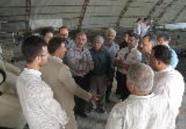 انتخاب مزرعه نمونه  