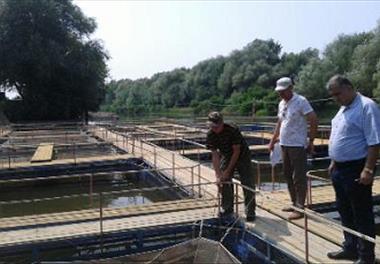 بازدید از کارگاه پرورش ماهیان خاویاری در کشور روسیه