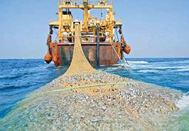 جلوگیری از صید بی‌رویه و غیرمجاز در آب ‌های کشور