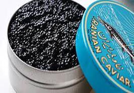 نشست مشترک با بخش خصوصی در ارتباط با رفع مشکل صادرات خاویار پرورشی