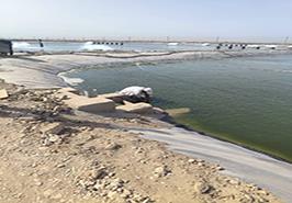 اجرای دومین گشت نمونه‌برداری پروژه ملی بررسی عوامل بروز بیماری لکه سفید میگو