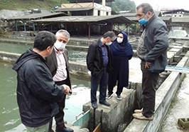 بازدید از مرکز تحقیقات ماهیان سردآبی کشور