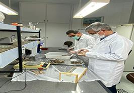 ممنوعیت صید میگو در آبهای ساحلی خوزستان