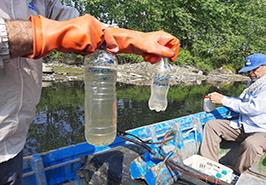 بررسی عوامل زیستی و غیرزیستی در تالاب انزلی