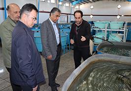 بازدید از انستیتو تحقیقات بین المللی ماهیان خاویاری