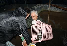 انتقال محصولات دانش بنیان طرح کلان تولید ماهی قزل آلا SPF به شرکت قزل باران فیروزکوه در استان تهران