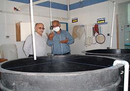 بازدید از پژوهشکده اکولوژی خلیج فارس و دریای عمان_ بندرعباس